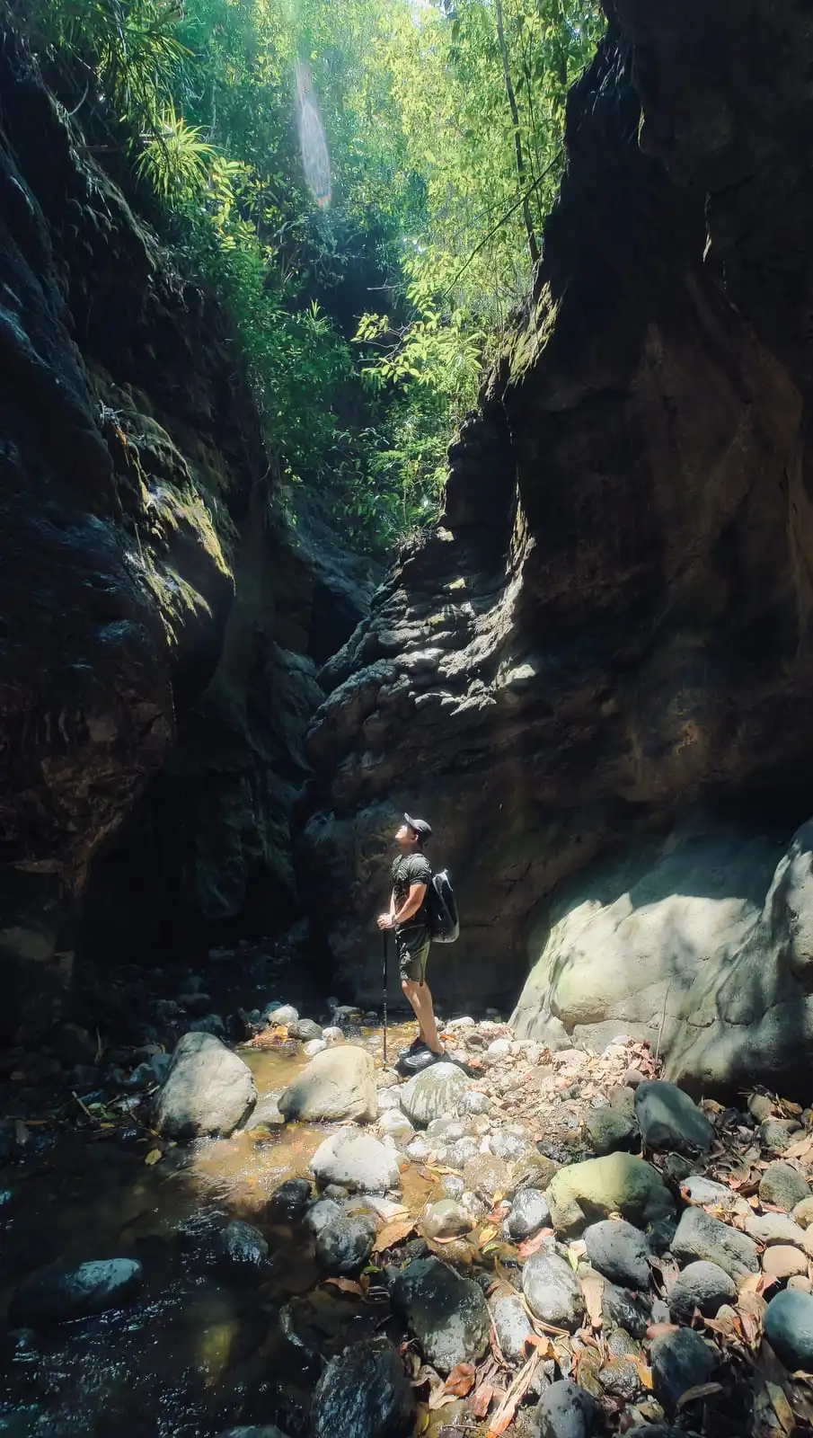 Looking up at the sunlit greenery above from the bottom of a narrow rock canyon, trekking pole in hand