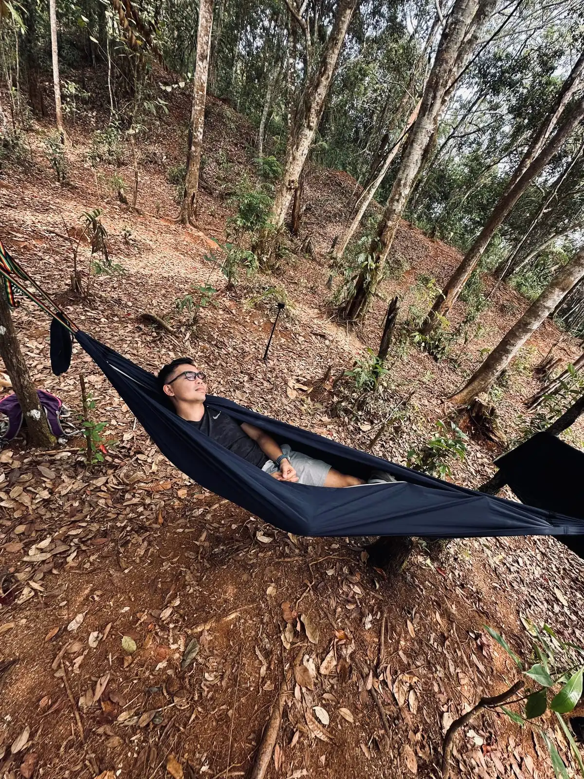 Resting in a dark hammock strung between trees on a leaf-covered forest slope